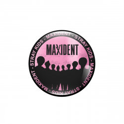 Limitowana metaliczna przypinka Stray Kids - MAXIDENT