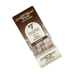 PAMIĄTKOWY BILET - SEVENTEEN [RIGHT HERE] WORLD TOUR IN JAPAN: LIVE