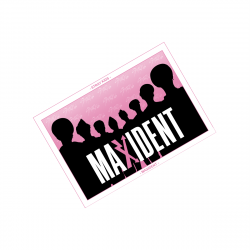 Perłowa pocztówka Stray Kids - MAXIDENT
