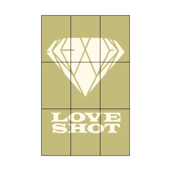 Zestaw perłowych kart - EXO Love Shot